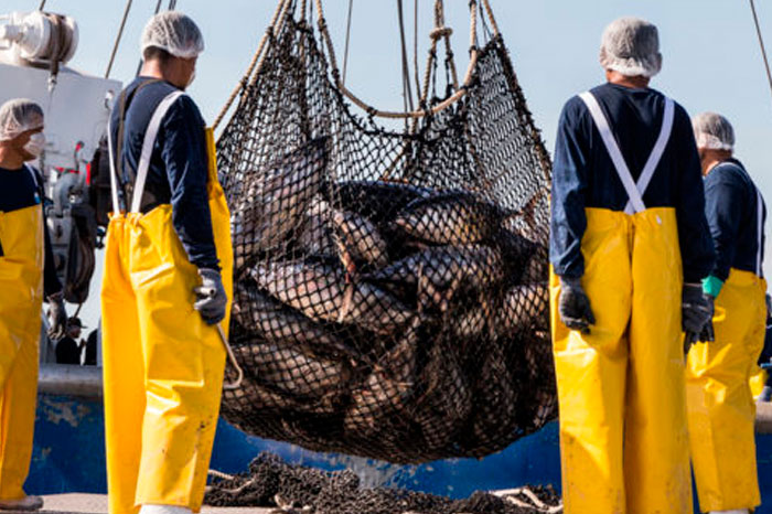 Inicia-temporada-de-pesca-de-atun-en-el-Oceano-Pacifico