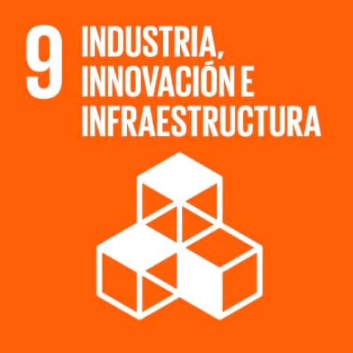 industria-innovacion-e-infraestructura>