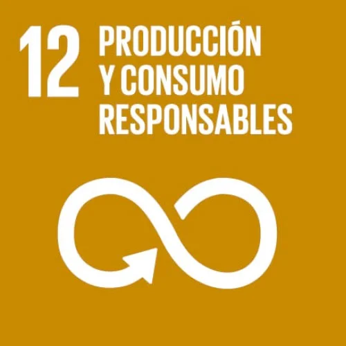 produccion-y-consumo-responsables>